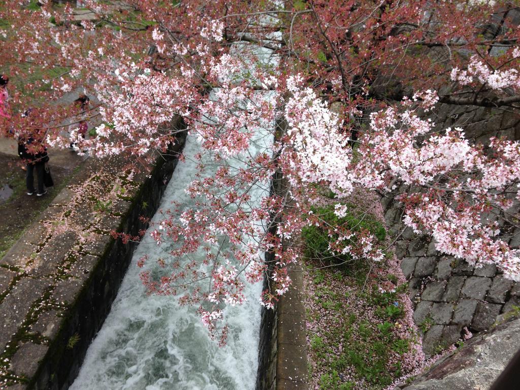 Yunokian Villa Kyoto Luaran gambar